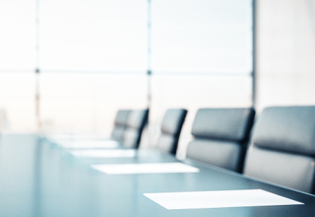 Complex Business Litigation Feature