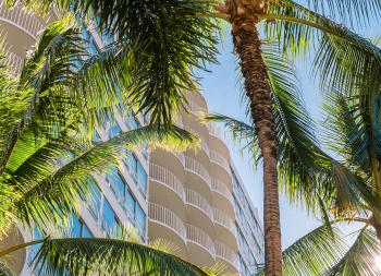 News Condos